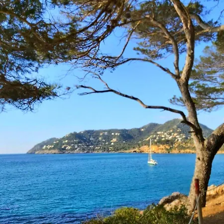 Apartment Brand New Caladoy At 150 Meters From Canyamel Beach, Pool & Garden, Solarium Canyamel (Mallorca)