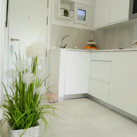 Brand New Caladoy At 150 Meters From Canyamel Beach, Pool & Garden, Solarium * Canyamel (Mallorca)